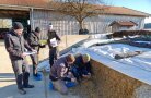 5 Personen stehen an einem Fahrsilo