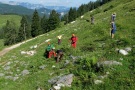 Mehrere Personen an mit Gras bewachsenem Hang im Alpenraum