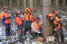 Personen in Schnittschutzkleidung stehen auf schneebedecktem Boden um Baum