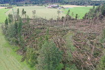 Flächiger Sturmschaden nordwestlich des Griessees. Das AELF Traunstein warnt vor den Gefahren bei der Sturmholzaufarbeitung und bietet drei Infoveranstaltungen für Interssierte (© Helmut Gattinger).