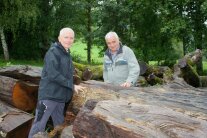 Zwei Männer  begutachten einen großen Holzstamm
