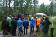 Besprechung im Regen